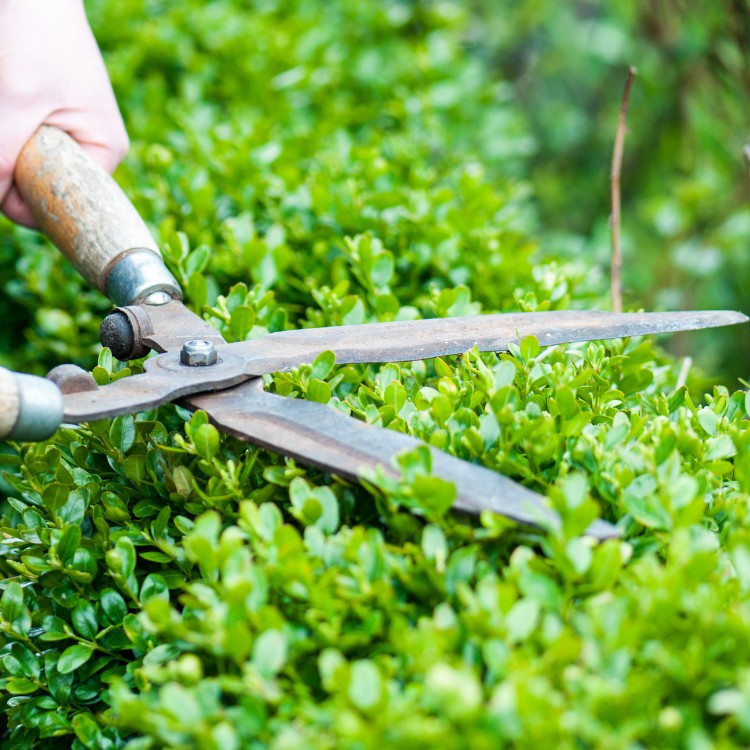 Landscaping Services in Charlestown, RI Landscaping Services in Charlestown, RI