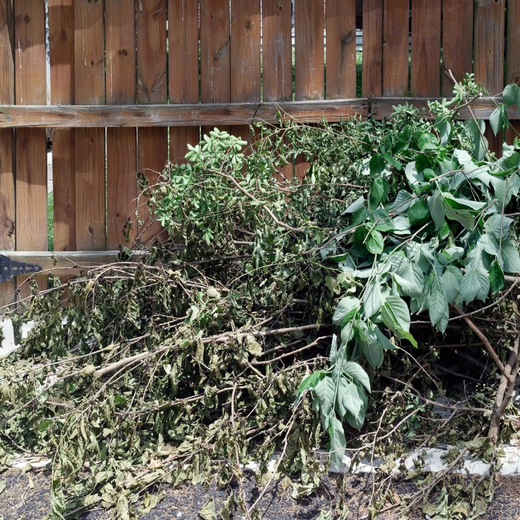 Landscaping Services in Charlestown, RI Landscaping Services in Charlestown, RI